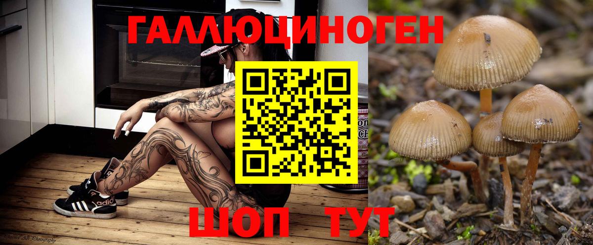 Галлюциногенные грибы Magic Shrooms  Вход с VPN  Пугачёв 